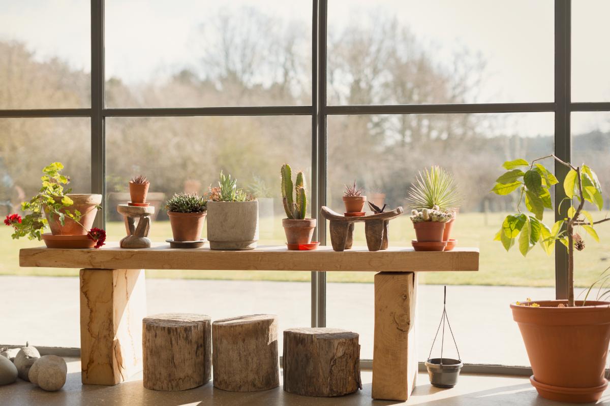 10 Window Plant Shelf Ideas