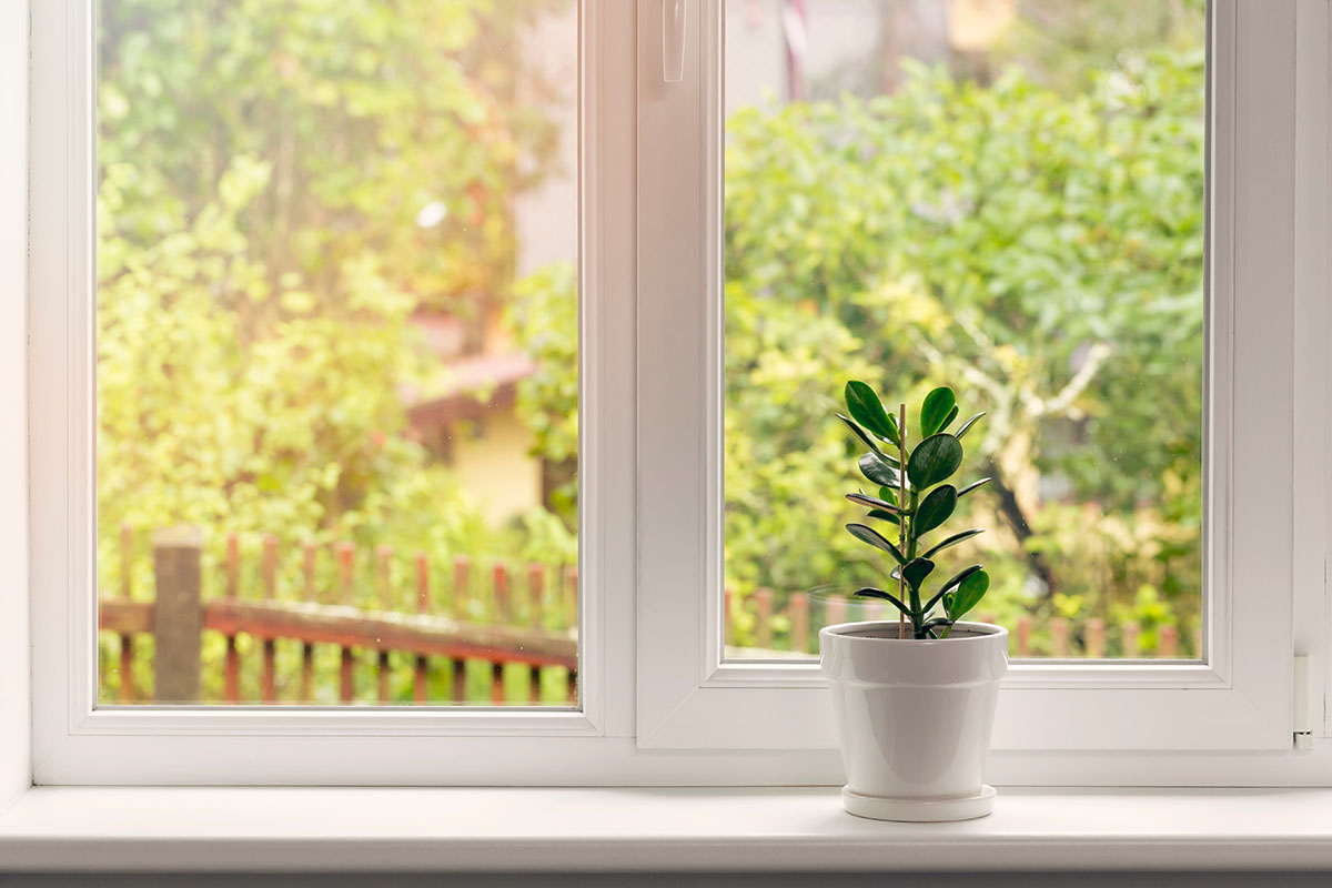 Choosing the Right Window Finish for Your Home